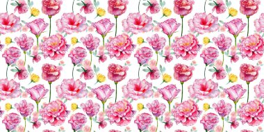 Kır çiçeği güller çiçek deseni suluboya tarzında.