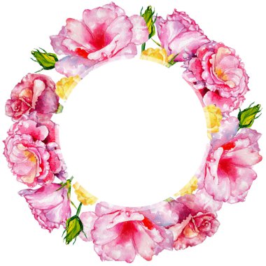 Kır çiçeği güller çiçek çerçevesinde bir suluboya stili.