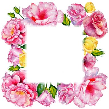 Kır çiçeği güller çiçek çerçevesinde bir suluboya stili.