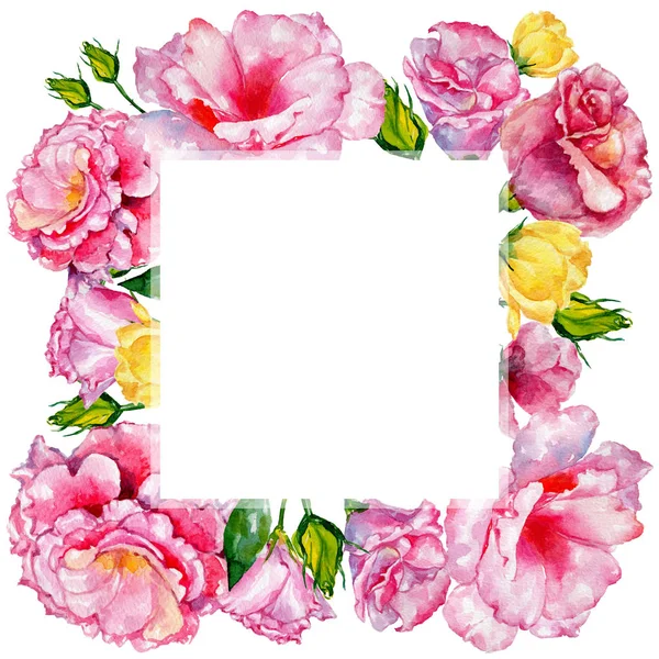 Kır çiçeği güller çiçek çerçevesinde bir suluboya stili.