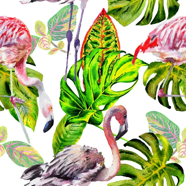 Cielo modello fenicottero uccello in una fauna selvatica in stile acquerello . — Foto Stock