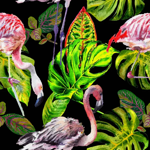 Patrón de flamenco de aves del cielo en una vida silvestre por estilo de acuarela . —  Fotos de Stock