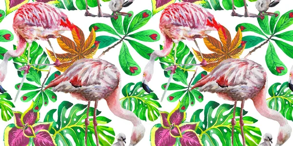 Padrão de flamingo pássaro céu em uma vida selvagem pelo estilo aquarela . — Fotografia de Stock