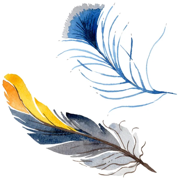 Plume d'oiseau aquarelle de l'aile isolée . — Photo