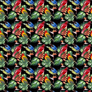 Gökyüzü cennet kuşları desende bir yaban hayatı suluboya stili tarafından.