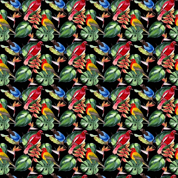 Gökyüzü cennet kuşları desende bir yaban hayatı suluboya stili tarafından.