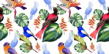 Gökyüzü cennet kuşları desende bir yaban hayatı suluboya stili tarafından.