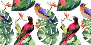 Gökyüzü cennet kuşları desende bir yaban hayatı suluboya stili tarafından.