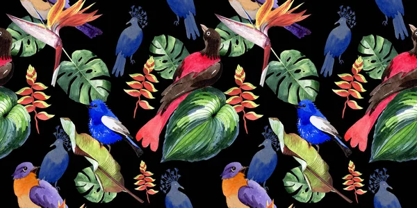 Sky birds of paradise  pattern in a wildlife by watercolor style. — Stock Photo, Image