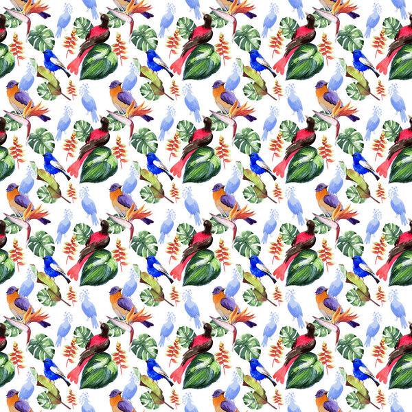 Sky birds of paradise  pattern in a wildlife by watercolor style.