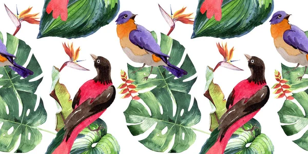 Sky paradisfåglar mönster i ett djurliv av akvarell stil. — Stockfoto