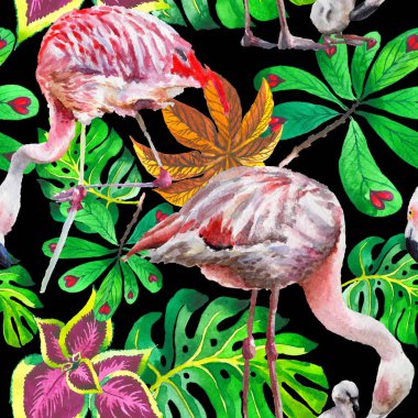 Gökyüzü kuş flamingo desende bir yaban hayatı suluboya stili tarafından.