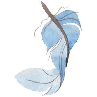 Suluboya kuş tüyü izole kanat üzerinden.