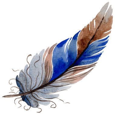 Suluboya kuş tüyü izole kanat üzerinden.