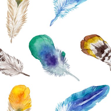 Suluboya kuş tüyü izole kanat üzerinden.