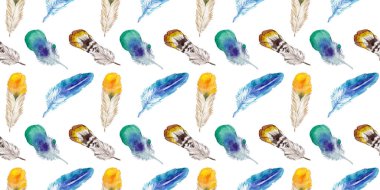 Suluboya kuş tüyü izole kanat üzerinden.