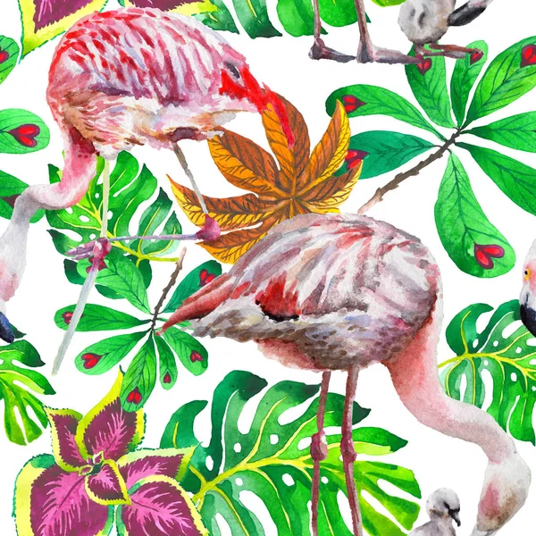 Sky bird flamingo pattern in a wildlife by watercolor style. — Stock Photo, Image