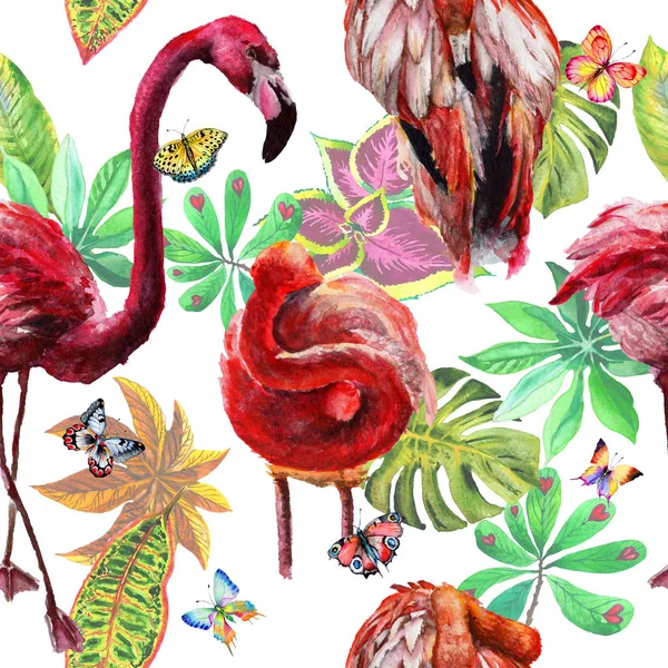 Sky bird flamingo pattern in a wildlife by watercolor style. — Stock Photo, Image