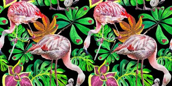 Sky bird flamingo pattern in a wildlife by watercolor style.