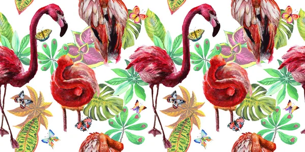 Sky bird flamingo pattern in a wildlife by watercolor style. — Stock Photo, Image