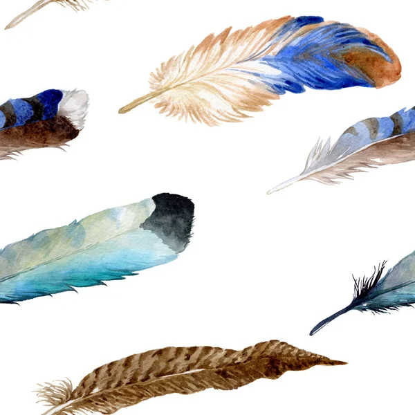 Watercolor bird feather from wing isolated. — Stock Photo, Image