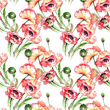 Kır çiçeği haşhaş çiçek deseni suluboya tarzında.