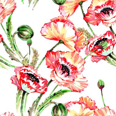 Kır çiçeği haşhaş çiçek deseni suluboya tarzında.