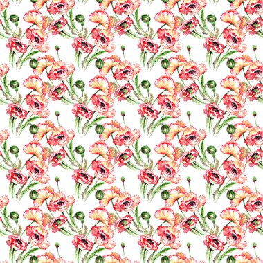 Kır çiçeği haşhaş çiçek deseni suluboya tarzında.