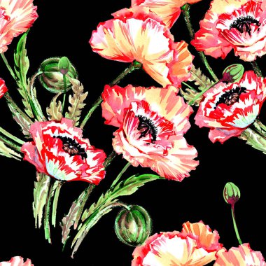 Kır çiçeği haşhaş çiçek deseni suluboya tarzında.