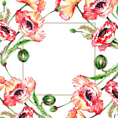 Kır çiçeği haşhaş çiçek deseni suluboya tarzında.