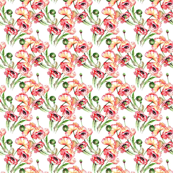 Wildblumen-Mohn-Blumenmuster im Aquarell-Stil. — Stockfoto