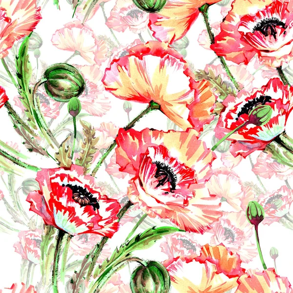 Motif de fleur de pavot de fleur sauvage dans un style aquarelle . — Photo