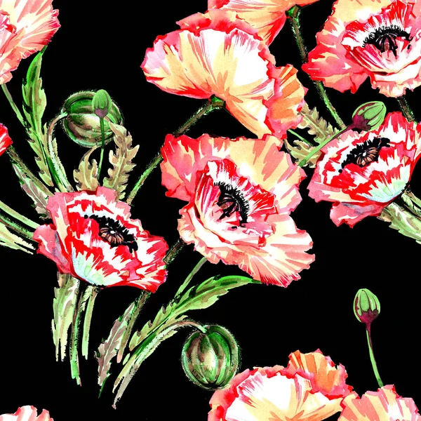 Kır çiçeği haşhaş çiçek deseni suluboya tarzında.