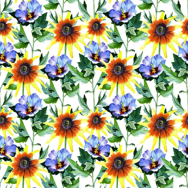 Wildflower sunflower flower pattern in a watercolor style. — Stock Photo, Image