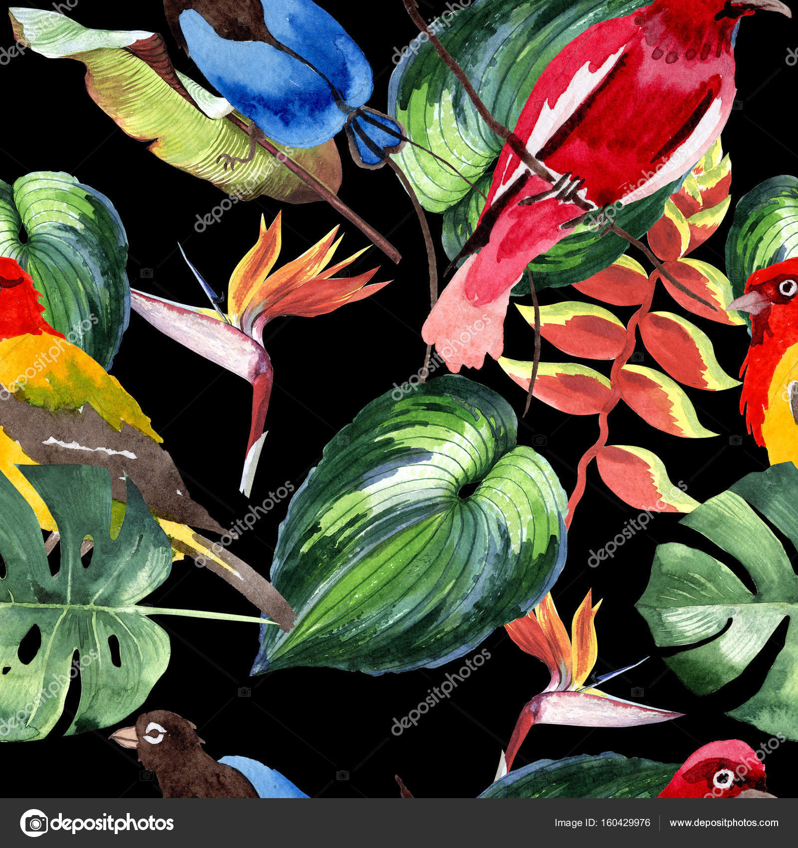 Modèle Doiseaux De Paradis De Ciel Dans Une Faune De Style