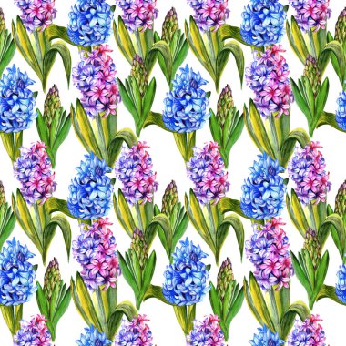 Kır çiçeği sümbül çiçek deseni suluboya tarzında.