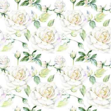 Kır çiçeği gül çiçek deseni suluboya tarzında.