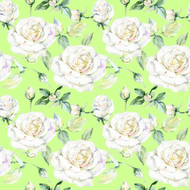 Kır çiçeği gül çiçek deseni suluboya tarzında.