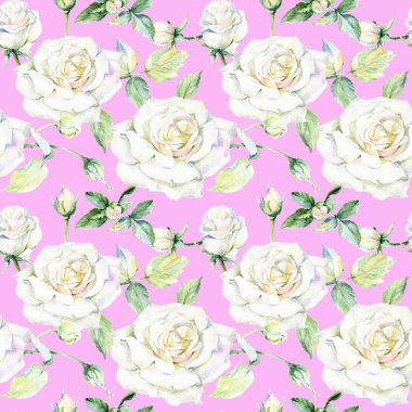 Kır çiçeği gül çiçek deseni suluboya tarzında.