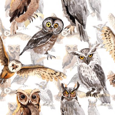 Gökyüzü kuş baykuş desende bir yaban hayatı suluboya stili tarafından.