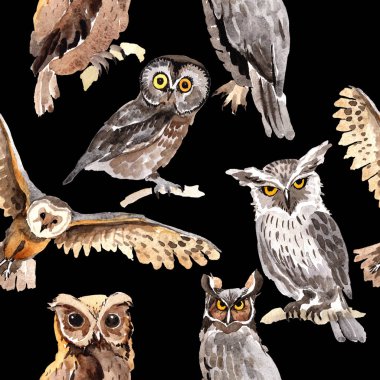 Gökyüzü kuş baykuş desende bir yaban hayatı suluboya stili tarafından.