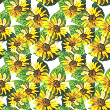 Kır çiçeği ayçiçeği çiçek deseni suluboya tarzında.