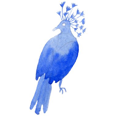 Gökyüzü bir yaban hayatı suluboya Style izole içinde cennet kuşları.