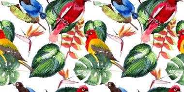 Gökyüzü cennet kuşları desende bir yaban hayatı suluboya stili tarafından.