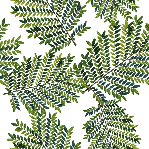 수채화 스타일에 야생화 녹색 잎 패턴. — 스톡 사진