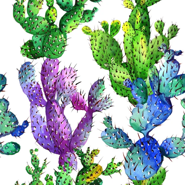 Wildflower cactus flower pattern in a watercolor style. — Stock Photo, Image