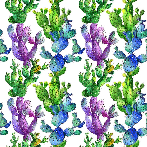 Wildflower cactus bloemenpatroon in een aquarel stijl. — Stockfoto