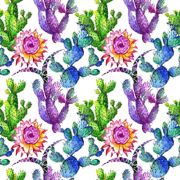 Kır çiçeği kaktüs çiçek deseni suluboya tarzında.