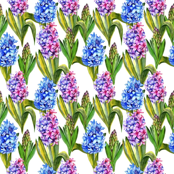 Kır çiçeği sümbül çiçek deseni suluboya tarzında.