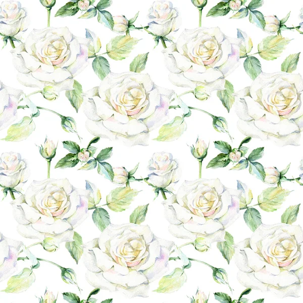 Kır çiçeği gül çiçek deseni suluboya tarzında.